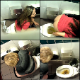 A guy video-records women peeing & pooping in a public restroom at a truck stop in several scenes. The view is from above the stall wall. Quite a risky endeavor! 13.5 minutes long.